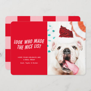 The Nice List   Christmas Holiday Pet Dog Photo