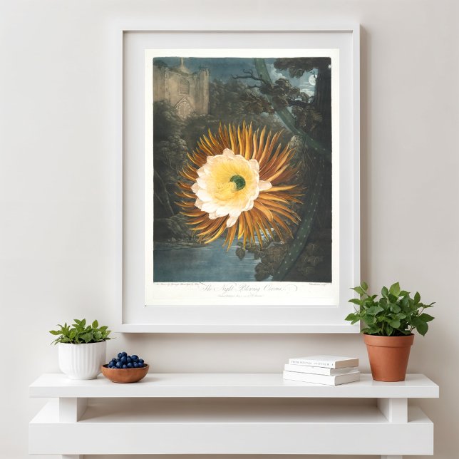 The Night-Blowing Cereus (1799–1807) Poster (Creator Uploaded)