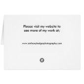 The Night Riders (Back Horizontal)