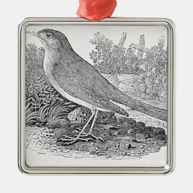 The Nightingale Metal Ornament (Front)