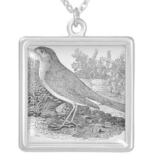 The Nightingale Silver Plated Necklace