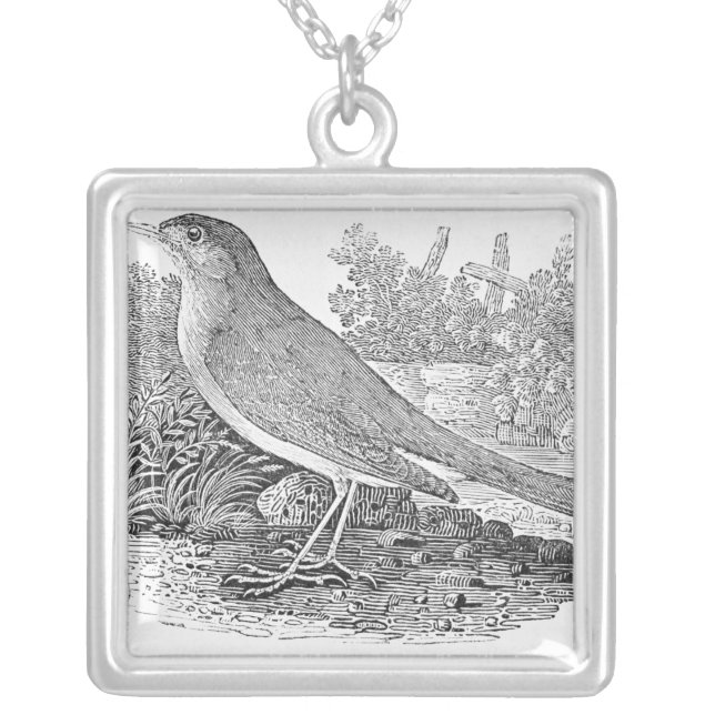 The Nightingale Silver Plated Necklace (Front)