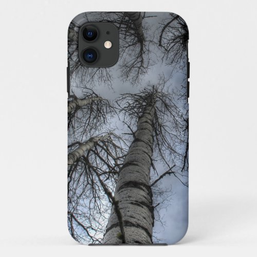 The Nine Spirits Aspen Trees iPhone 11 Case