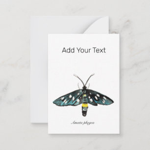 The Nine-Spotted Moth Amata phegea Illustration Note Card