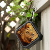 The Noble Lion Photograph Bluetooth Speaker (Inisitu)