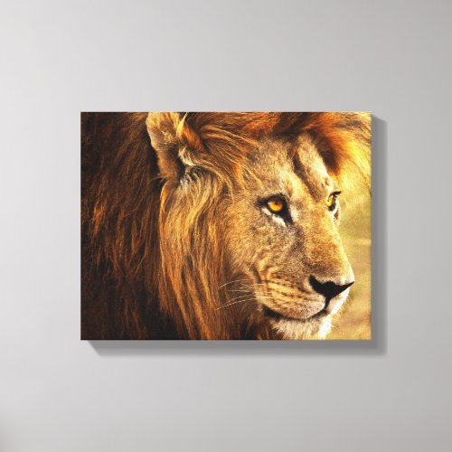 The Noble Lion Photograph Canvas Print