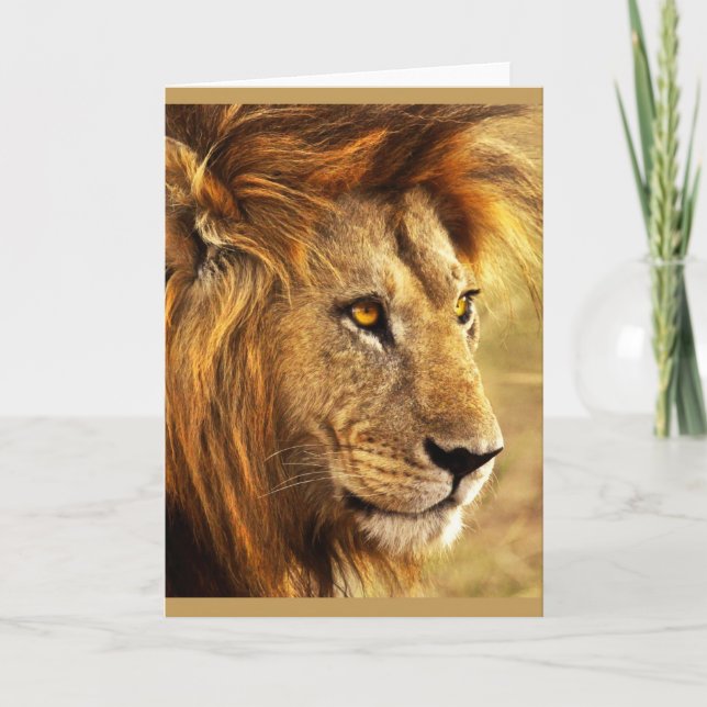 The Noble Lion Photograph Card (Front)