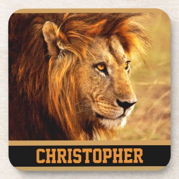 The Noble Lion Photograph Drink Coaster by ironydesignphotos at Zazzle