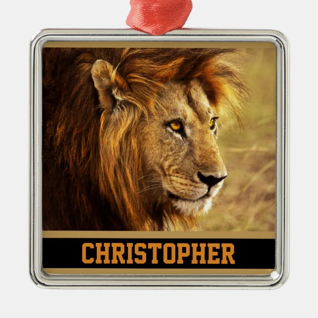 The Noble Lion Photograph Metal Ornament (Front)