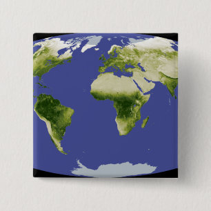 The Normalized Difference Vegetation Index Button