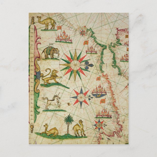 The North African Coast, from a nautical atlas Postcard (Front)