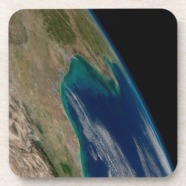 The Northern Gulf Of Mexico. Beverage Coaster (Front)
