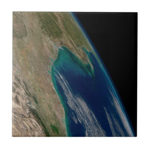 The Northern Gulf Of Mexico Ceramic Tile