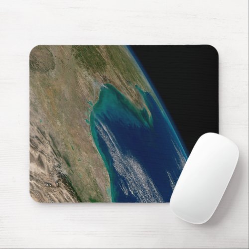 The Northern Gulf Of Mexico Mouse Pad