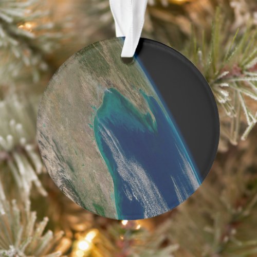 The Northern Gulf Of Mexico Ornament