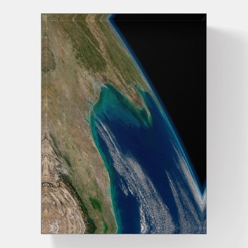 The Northern Gulf Of Mexico Paperweight