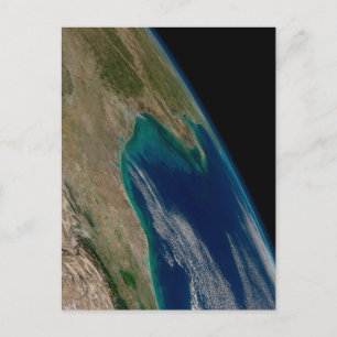 The Northern Gulf Of Mexico. Postcard