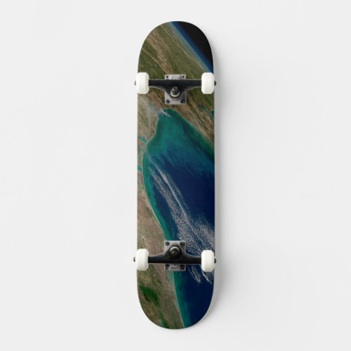 The Northern Gulf Of Mexico Skateboard