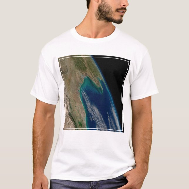 The Northern Gulf Of Mexico. T-Shirt (Front)