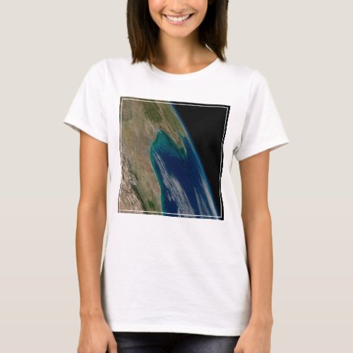 The Northern Gulf Of Mexico T_Shirt