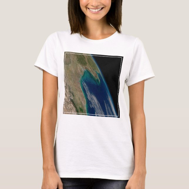 The Northern Gulf Of Mexico. T-Shirt (Front)
