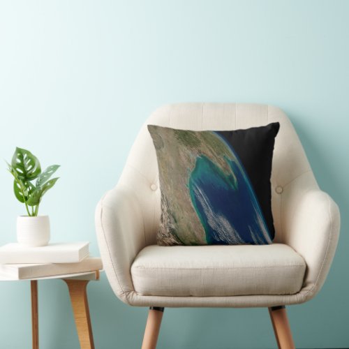 The Northern Gulf Of Mexico Throw Pillow