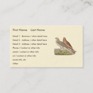 The Northern Harrier (Ring-tailed Hawk) NY Bird Business Card
