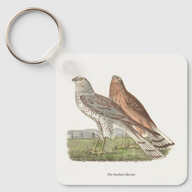 The Northern Harrier (Ring-tailed Hawk) NY Bird Keychain (Front)