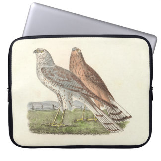The Northern Harrier (Ring-tailed Hawk) NY Bird Laptop Sleeve