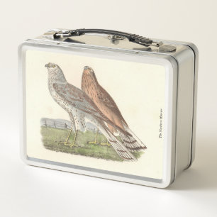 The Northern Harrier (Ring-tailed Hawk) NY Bird Metal Lunch Box