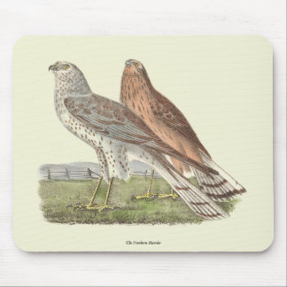 The Northern Harrier (Ring-tailed Hawk) NY Bird Mouse Pad