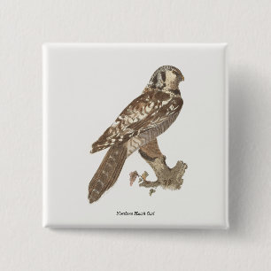 The Northern Hawk Owl (Surnia ulula) Bird Image Button