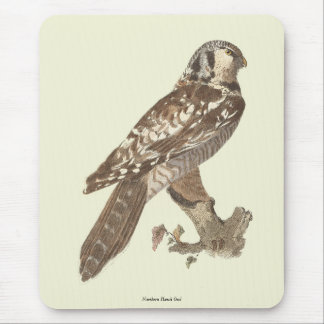 The Northern Hawk Owl (Surnia ulula) Bird Image Mouse Pad
