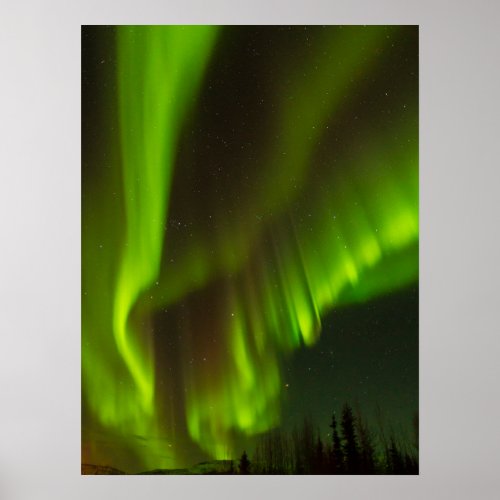 The Northern Lights  Fairbanks Alaska Poster