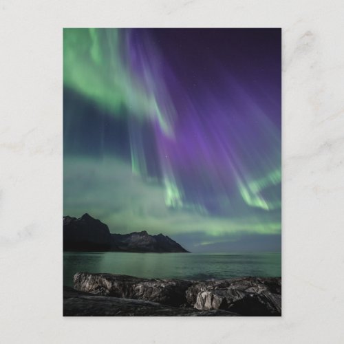 The Northern Lights Holiday Postcard