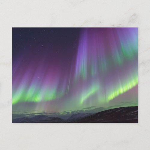 The Northern Lights  North Iceland Postcard