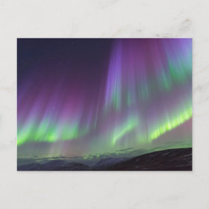 The Northern Lights North Iceland Postcard