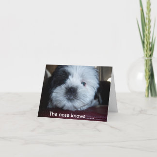 The nose knows...... card