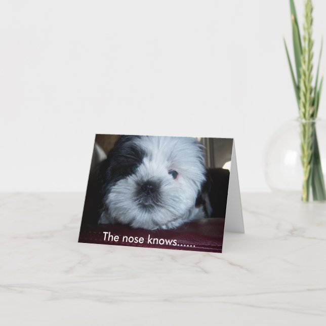 The nose knows...... card (Front)