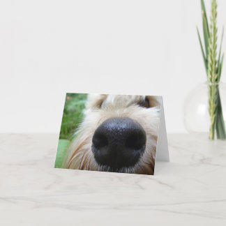 The nose knows! card