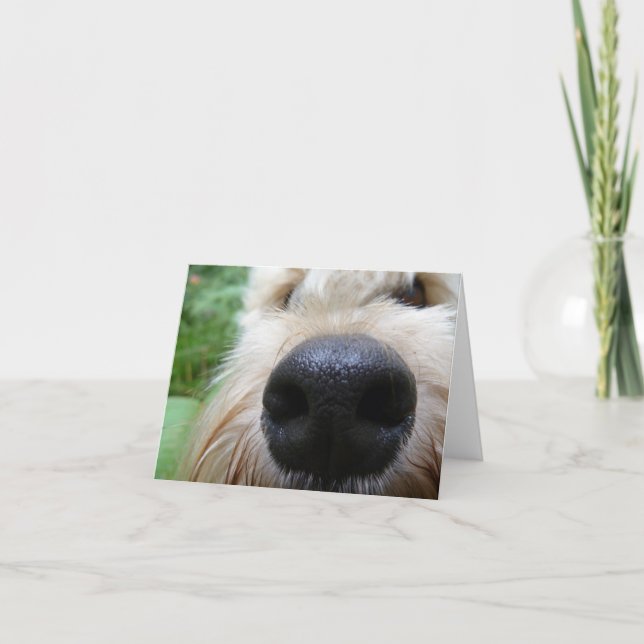 The nose knows! card (Front)