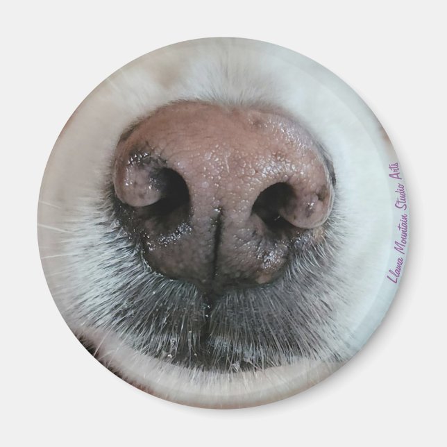 The Nose Knows Dog Nose #1 magnet (Front)