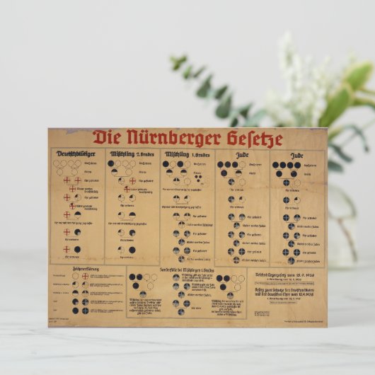 The Nuremberg Laws Chart (Standing Front)