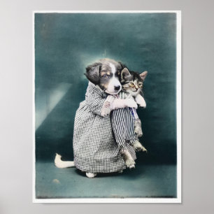 The Nurse Puppy Caring For Kitten 1914 Colorized Poster