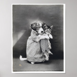 The Nurse Puppy Kitten Harry Whittier Frees 1914 Poster