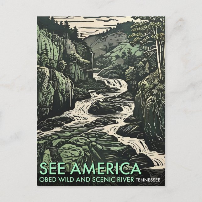 The Obed Wild and Scenic River in Tennessee Postcard (Front)