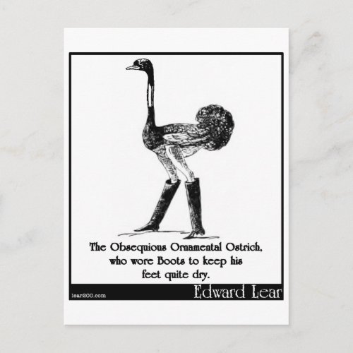 The Obsequious Ornamental Ostrich Postcard