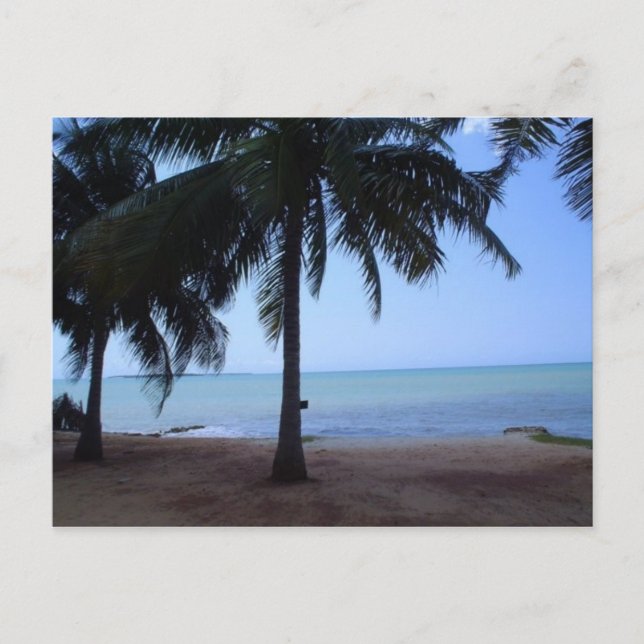 The Ocean in Morning Postcard (Front)