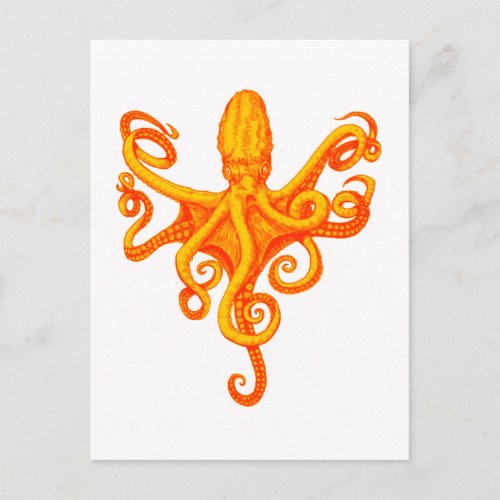 THE OCTOPUS SHINES POSTCARD