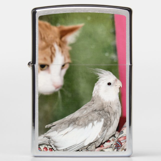 The odd couple zippo lighter (Front)